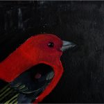 Day 57: Scarlet Tanager