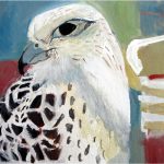 Day 45: Gyr Falcon