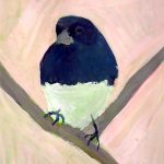 Day 9:Dark-eyed Junco