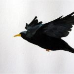 Day 21: Blackbird