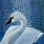 Day 31: Tundra Swan