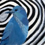 Day 42: Pinyon Jay