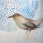 No. 95: American Dipper