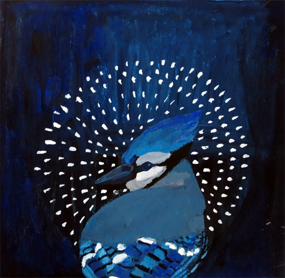 No. 15: Blue Jay