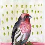 Day 39: Finch