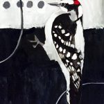 Day 14: Downy Woodpecker