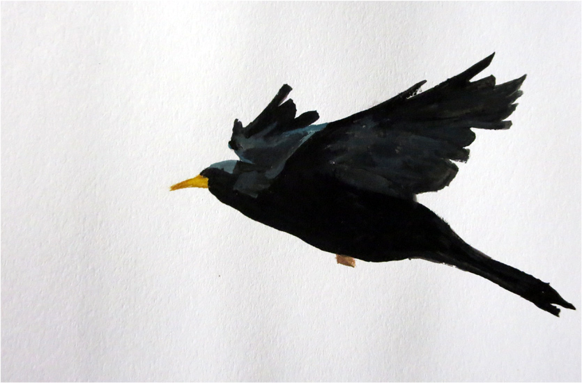 Day 21: Blackbird