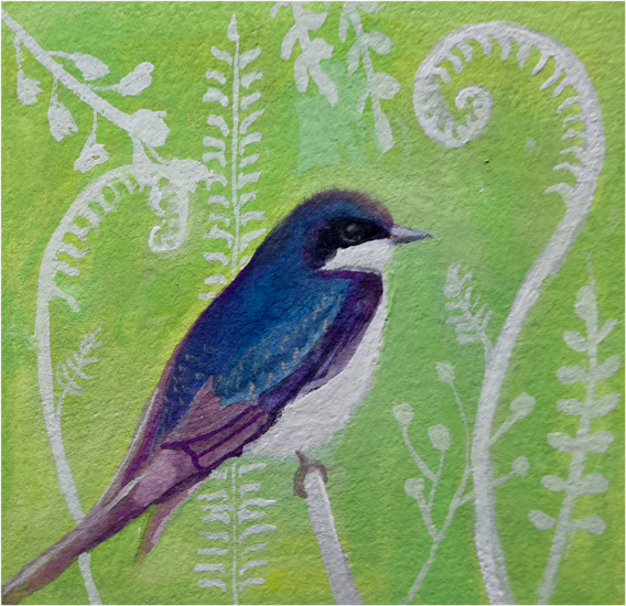 Day 49: Tree Swallow
