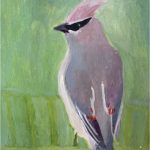 No. 71: Cedar Waxwing