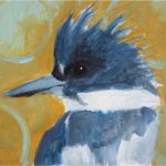 No. 51: Belted Kingfisher