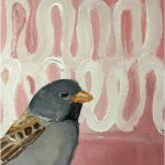 No 81: Black-chinned Sparrow