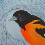 No. 58: Baltimore Oriole
