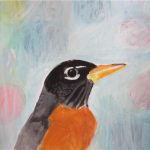 No. 67: American Robin
