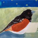 No 74: Eastern Towhee
