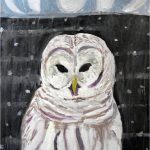 No 76: Barred Owl