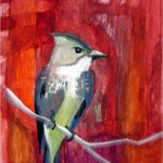 No. 78: Olive-sided Flycatcher