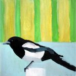 No. 80: Black-billed Magpie