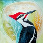 No 85: Pileated Woodpecker