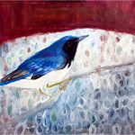 No 92: Black Throated Blue Warbler