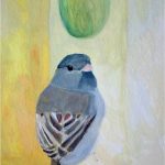 No. 97: Dark-eyed Junco