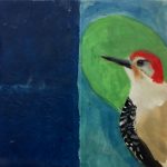 Red-Bellied Woodpecker: Rooted in the Sacred
