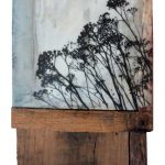 Learning From the Seasons