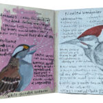 sparrow_woodpecker