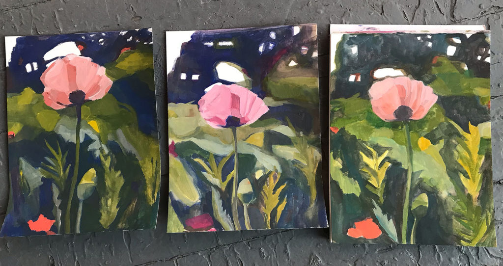 3 gouache paintings of a poppy