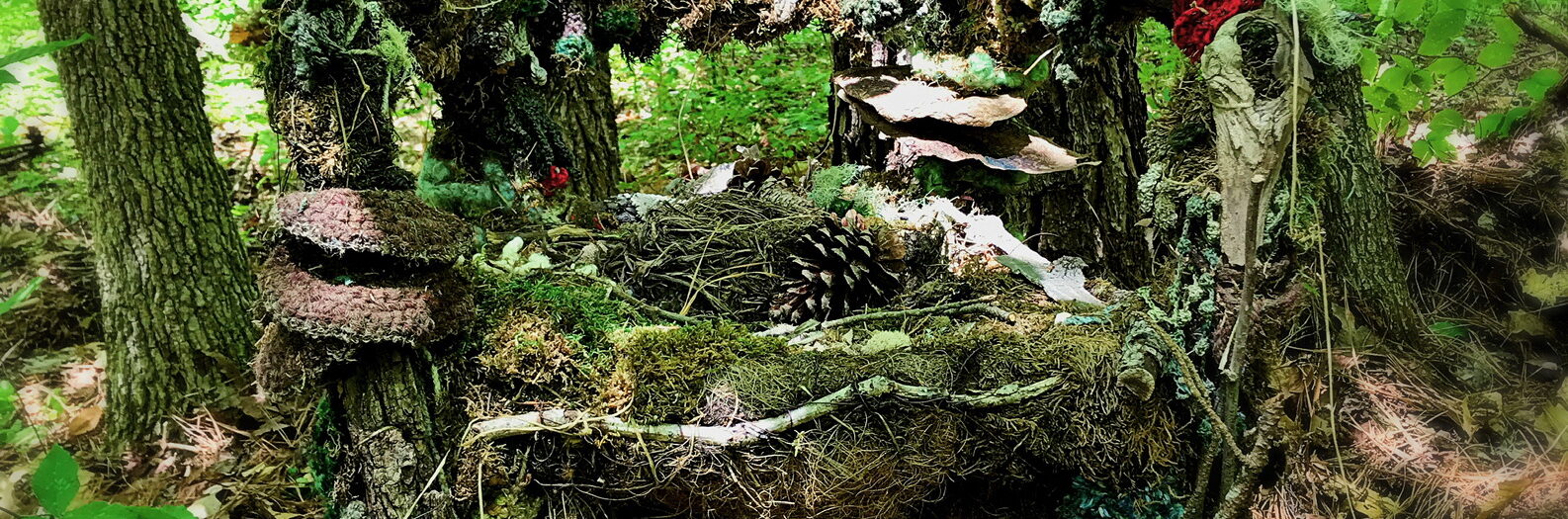 Shelter in Place