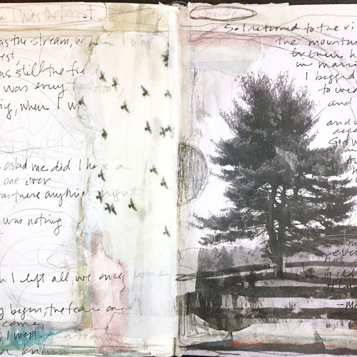 Journaling: when i was the forest
