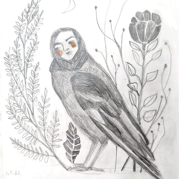 Crow Bird Woman and Fox Woman Drawings