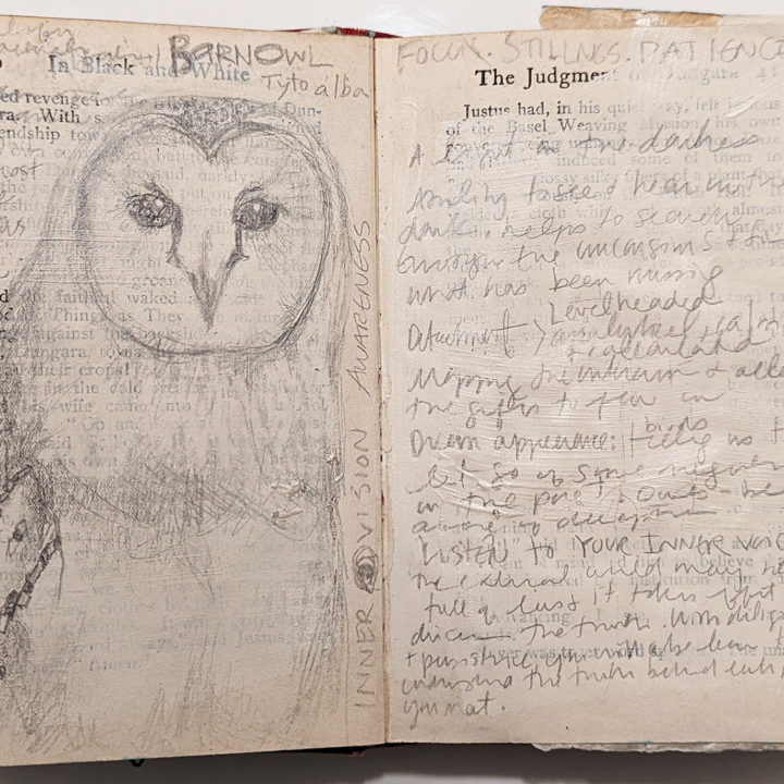 Bird Journal: Barn Owl