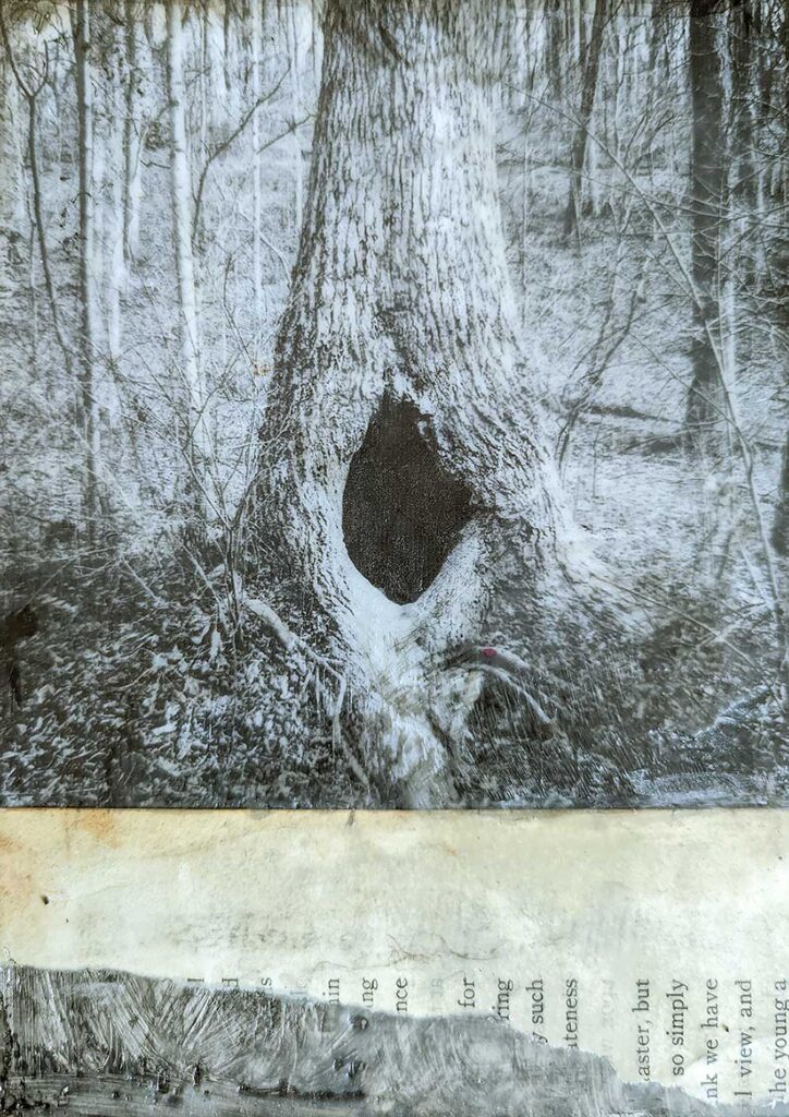 Portals, no. 7, encaustic collage of a tree by Bridgette Guerzon Mills