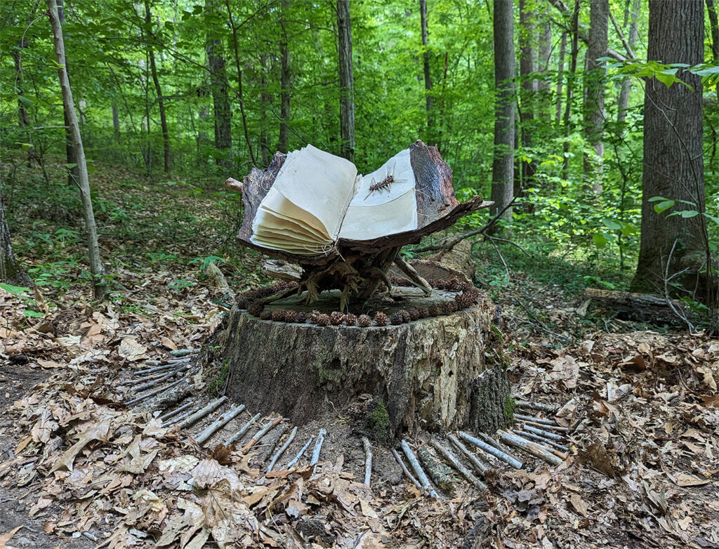 Outdoor installation, The Understory, by Bridgette Guerzon Mills