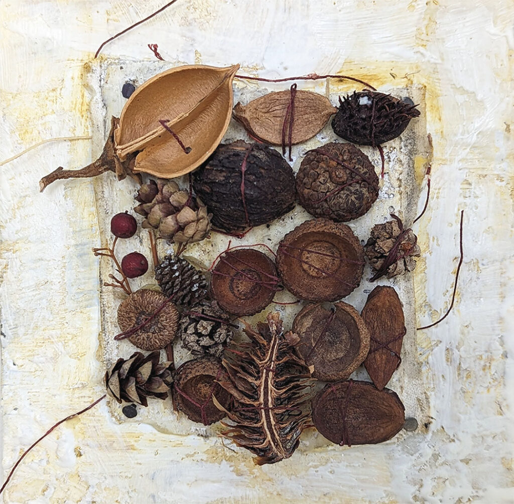 Seeds Hold Stories of Belonging is an encaustic mixed media piece by Bridgette Guerzon Mills