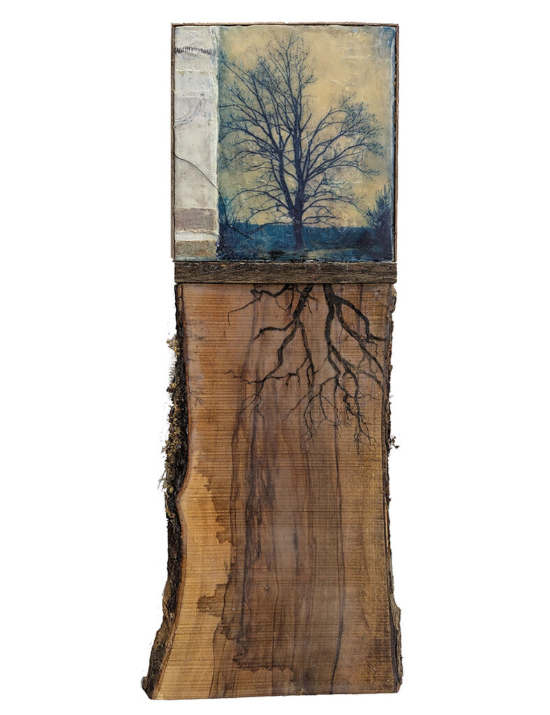 Rooted and Grounded is an encaustic mixed media piece by Bridgette Guerzon Mills