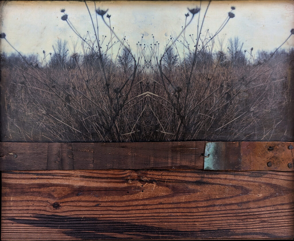 Encaustic mixed media piece of mirror image grass, with salvage wood and metal by Bridgette Guerzon Mills