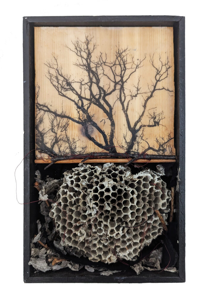 Interwoven Worlds is an assemblage piece by Bridgette Guerzon Mills