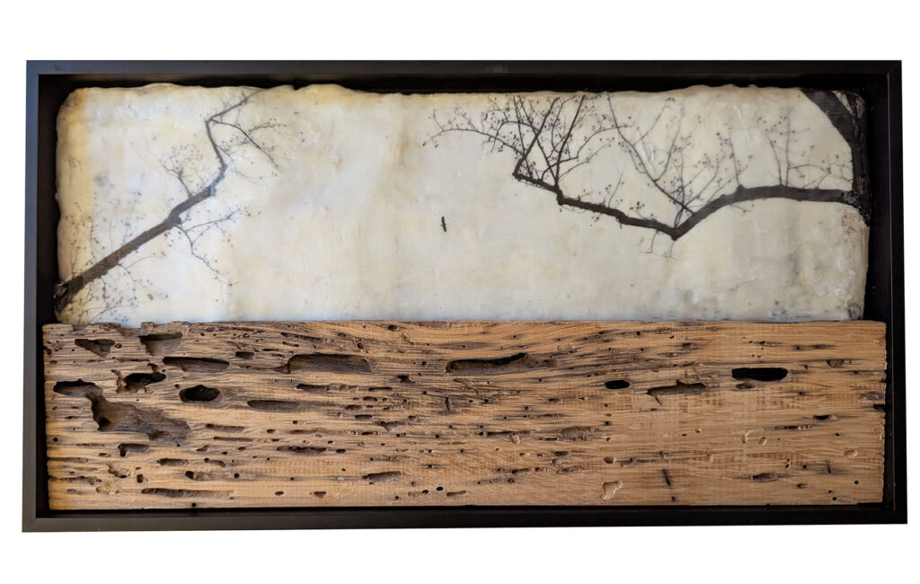 Listening Inwardly, encaustic mixed media including salvaged Wormy Chestnut, 8x16 inches