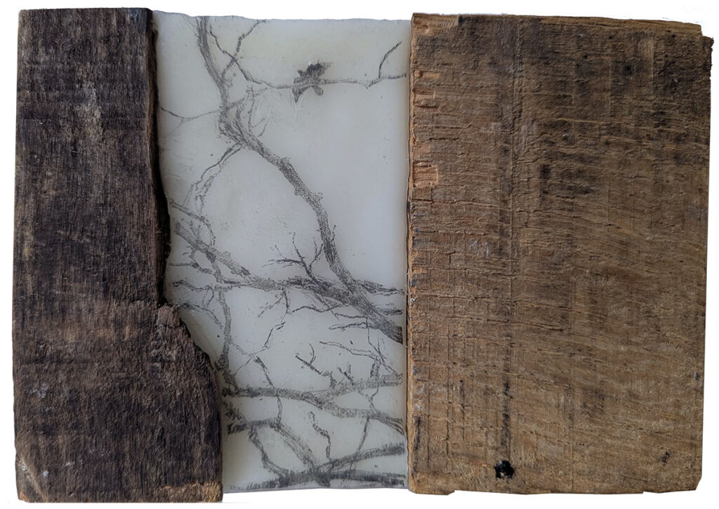 Among Trees is an encaustic mixed media piece including salvaged wood