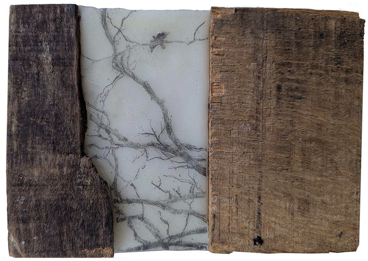 Among Trees is an encaustic mixed media piece including salvaged wood