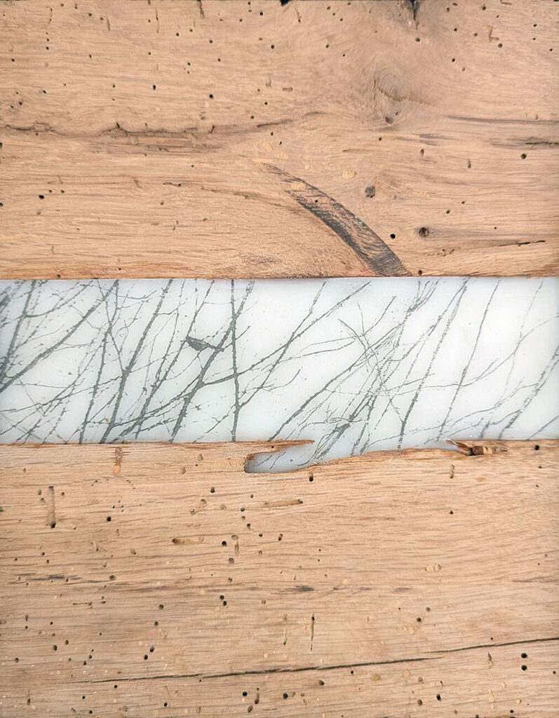 Place Of Belonging is an encaustic mixed media piece including Wormy Chestnut by Bridgette Guerzon Mills