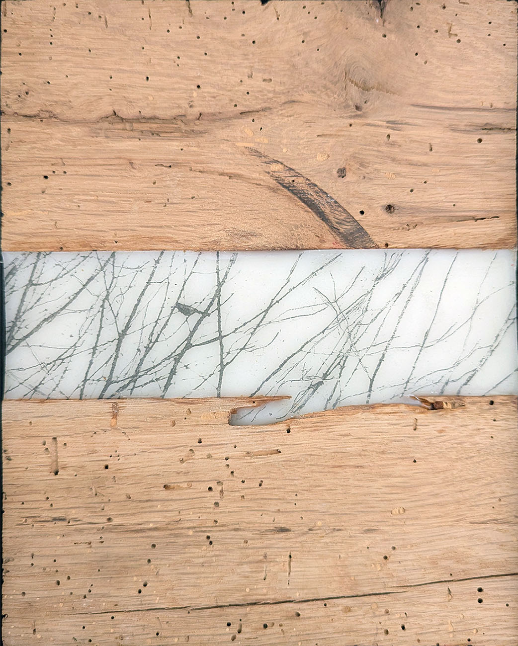 Place Of Belonging is an encaustic mixed media piece including Wormy Chestnut by Bridgette Guerzon Mills